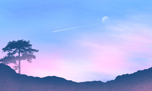 上海外国语大学中西合作办学西班牙语专业