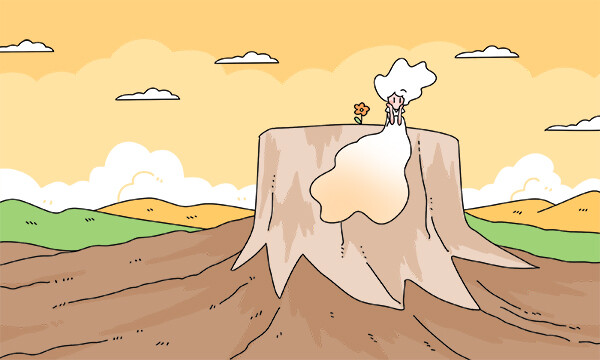 福建历政生可以报什么大学和专业？就业率最好院校专业(2026参考)