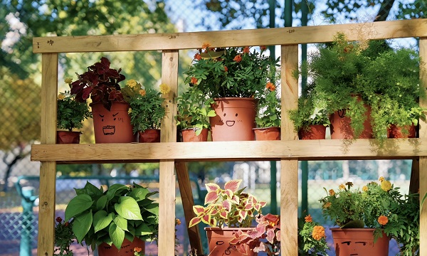 北外同文学校10.jpg 北外同文学校10.jpg