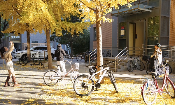 北外同文学校9.jpg 北外同文学校9.jpg