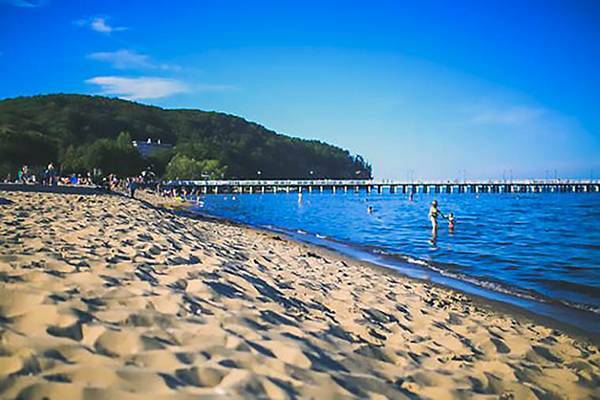 2018年西北大学软件职业技术学院分类考试招