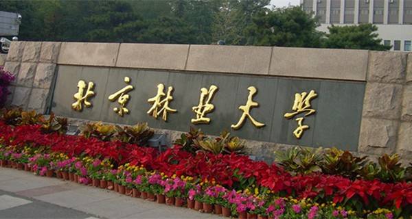 2016年北京林业大学美术专业录取分数线|2016年北京林业大学美术专业录取分数线