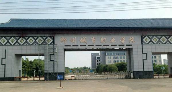 柳州城市职业学院20年录取分数线