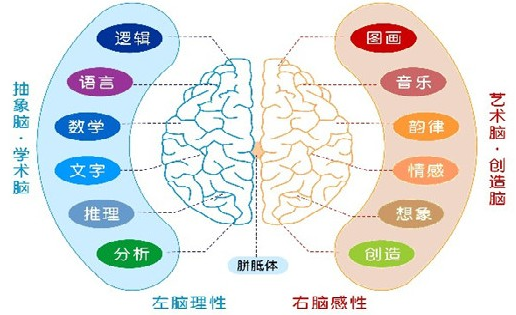 高三提高记忆力训练方法_高三网